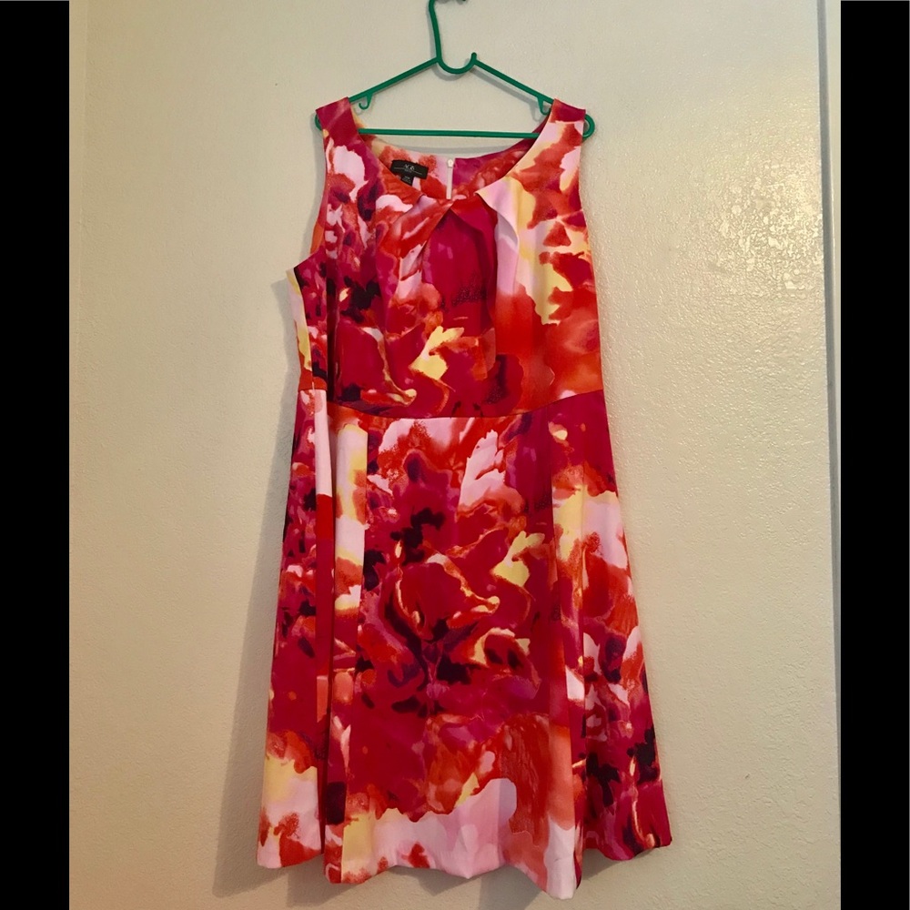 Plus Size dress by AGB